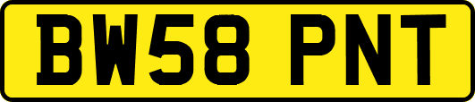 BW58PNT