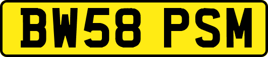 BW58PSM