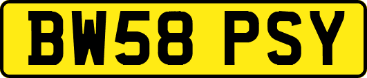 BW58PSY