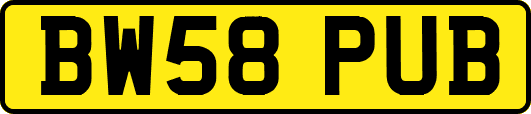 BW58PUB