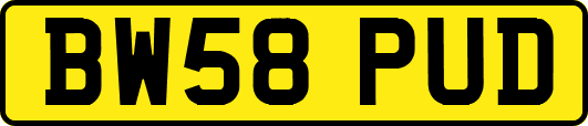 BW58PUD