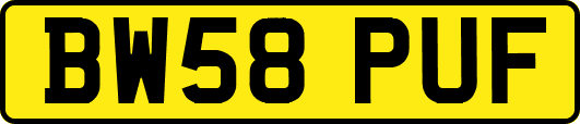 BW58PUF