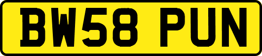 BW58PUN