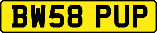 BW58PUP