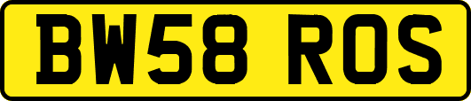 BW58ROS