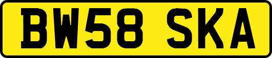 BW58SKA