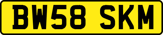BW58SKM