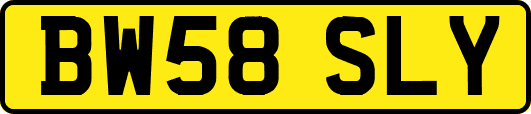 BW58SLY