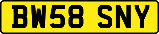 BW58SNY