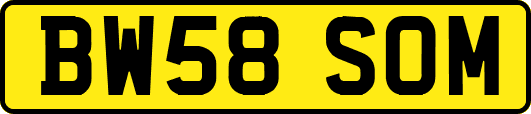 BW58SOM