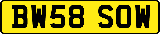 BW58SOW