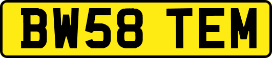 BW58TEM