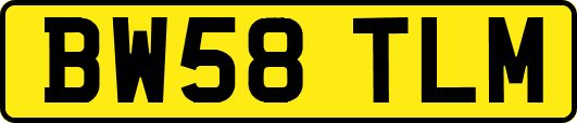 BW58TLM