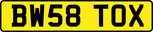 BW58TOX