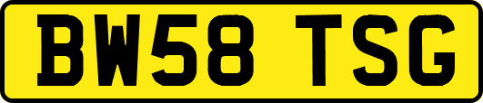 BW58TSG