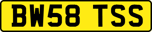BW58TSS