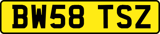 BW58TSZ