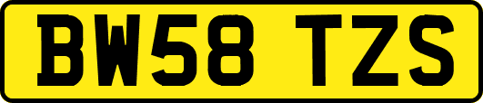 BW58TZS