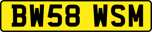 BW58WSM
