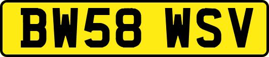 BW58WSV