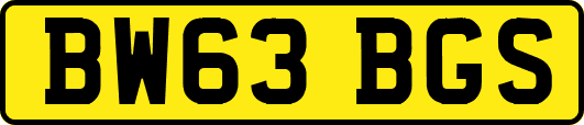 BW63BGS