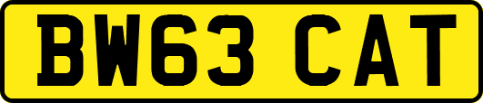 BW63CAT
