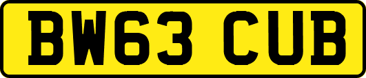 BW63CUB