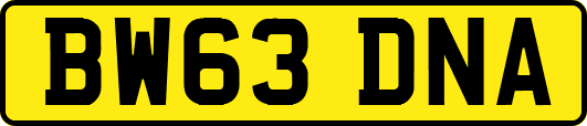 BW63DNA