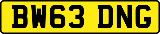 BW63DNG