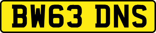 BW63DNS