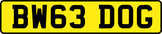 BW63DOG