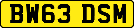BW63DSM