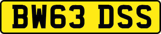 BW63DSS