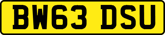 BW63DSU