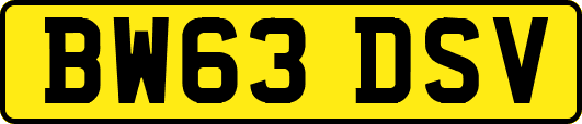 BW63DSV