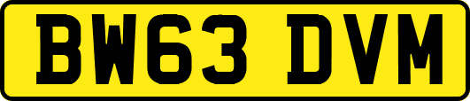 BW63DVM