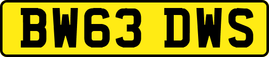 BW63DWS
