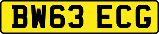 BW63ECG