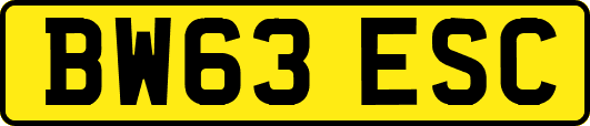 BW63ESC