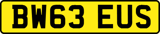 BW63EUS