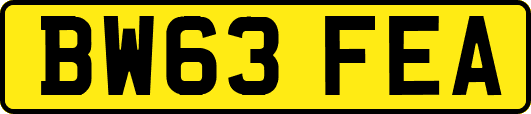 BW63FEA