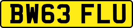 BW63FLU