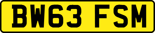 BW63FSM