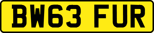 BW63FUR