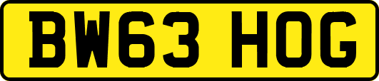 BW63HOG