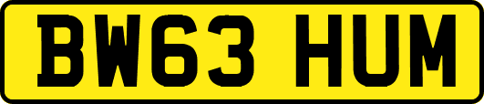 BW63HUM