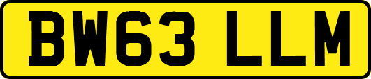 BW63LLM