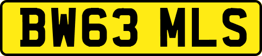 BW63MLS
