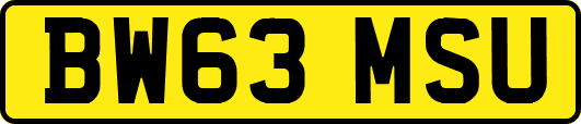 BW63MSU