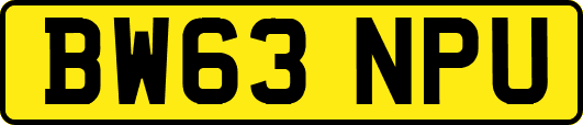 BW63NPU